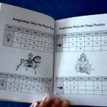 newsletter_losar_2017_kalender_1