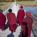 Khenshen_Pema_Sherab_IMG_9749a