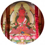 20210209_NL_Amitayus