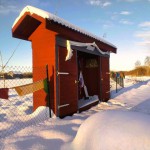 NL202408-467779515_976523401174918_4379053743083607770_n